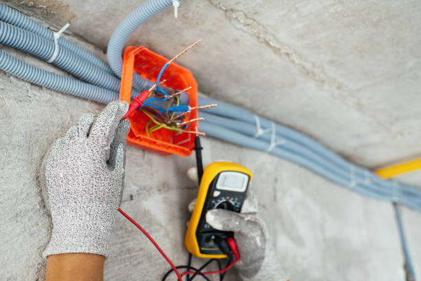 Best Affordable Electrician  in West Homestead, PA